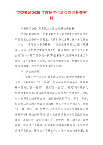 市委书记2025年度民主生活会对照检查材料