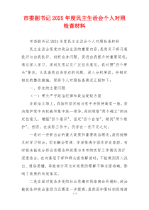 市委副书记2025年度民主生活会个人对照检查材料