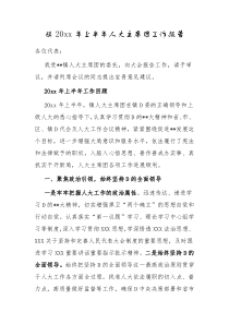 镇20XX年上半年人大主席团工作报告