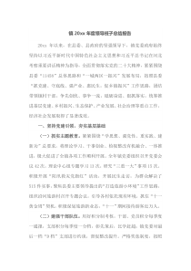 镇20XX年度领导班子总结报告