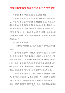 市委巡察整改专题民主生活会个人发言提纲
