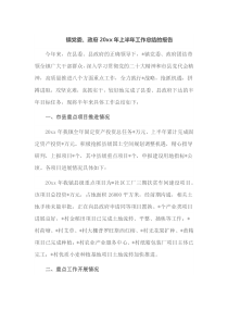镇党委政府20XX年上半年工作总结的报告