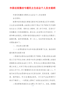 市委巡视整改专题民主生活会个人发言提纲