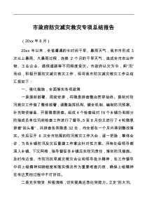 防灾减灾救灾专项汇报