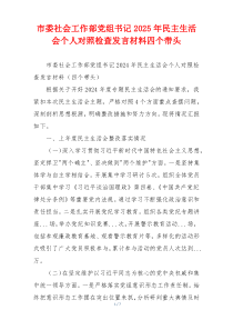 市委社会工作部党组书记2025年民主生活会个人对照检查发言材料四个带头
