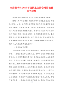 市委秘书长2025年度民主生活会对照检视发言材料