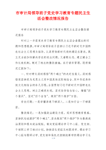市审计局领导班子党史学习教育专题民主生活会整改情况报告