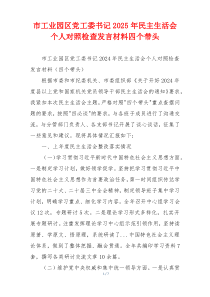 市工业园区党工委书记2025年民主生活会个人对照检查发言材料四个带头