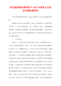 市应急管理局领导班子2025年度民主生活会对照检查材料