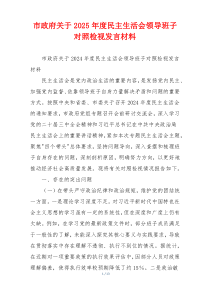 市政府关于2025年度民主生活会领导班子对照检视发言材料