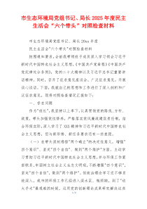 市生态环境局党组书记、局长2025年度民主生活会“六个带头”对照检查材料