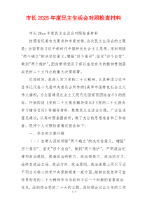 市长2025年度民主生活会对照检查材料
