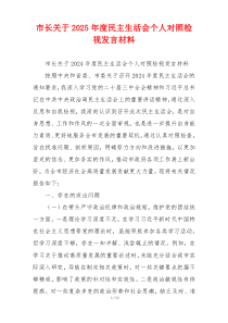 市长关于2025年度民主生活会个人对照检视发言材料