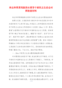 林业和草原局副局长领导干部民主生活会对照检查材料