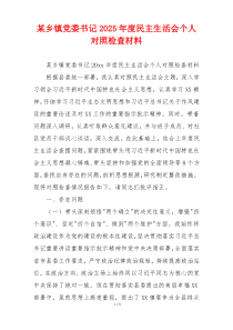 某乡镇党委书记2025年度民主生活会个人对照检查材料
