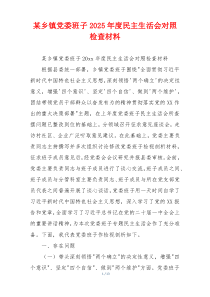 某乡镇党委班子2025年度民主生活会对照检查材料