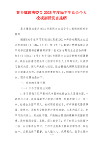 某乡镇政法委员2025年度民主生活会个人检视剖析发言提纲