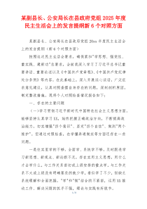 某副县长、公安局长在县政府党组2025年度民主生活会上的发言提纲新6个对照方面