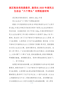 某区税务局党委委员、副局长2025年度民主生活会“六个带头”对照检查材料