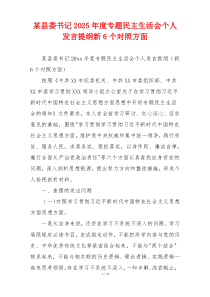 某县委书记2025年度专题民主生活会个人发言提纲新6个对照方面