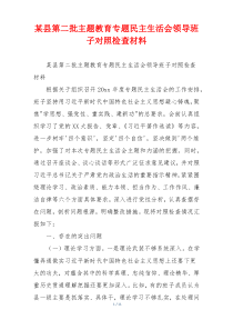 某县第二批主题教育专题民主生活会领导班子对照检查材料