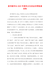 某市副市长2025年度民主生活会对照检查材料