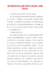 某市委领导在民主集中制学习培训班上的精彩发言