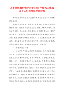 某市政协副职领导关于2025年度民主生活会个人对照检视发言材料