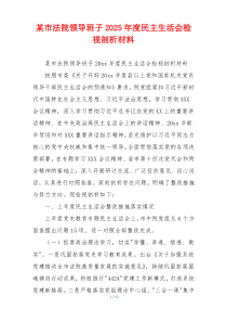 某市法院领导班子2025年度民主生活会检视剖析材料