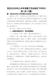 (12篇)党总支2025年上半年党建工作总结及下半年计划（精选）