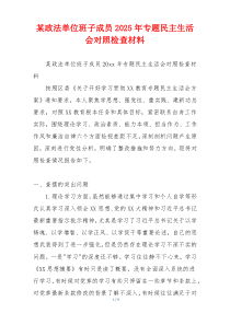 某政法单位班子成员2025年专题民主生活会对照检查材料