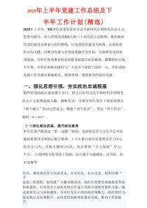 2025 年上半年党建工作总结及下半年工作计划（精选）