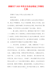 某镇关于2025年民主生活会准备工作情况汇报