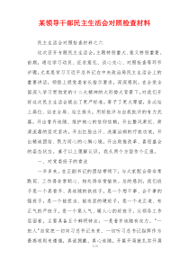 某领导干部民主生活会对照检查材料