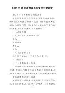 2025年XX街道禁毒工作整改方案详情
