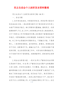 民主生活会个人剖析发言资料整理