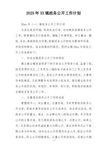 2025年XX镇政务公开工作计划