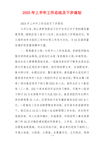 2025年上半年工作总结及下步谋划