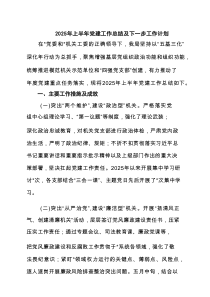 2025年上半年党建工作总结及下一步工作计划(通用精选5篇)