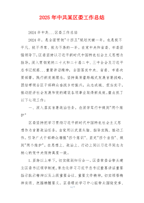 2025年中共某区委工作总结