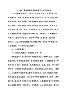 2025年上半年党建工作总结及下一步工作计划范本5篇（精选版）
