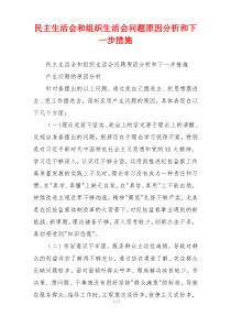 民主生活会和组织生活会问题原因分析和下一步措施