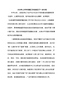 2025年上半年党建工作总结及下一步计划5篇供参考