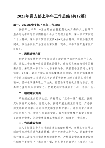 2025年党支部上半年工作总结（范文12篇参考）
