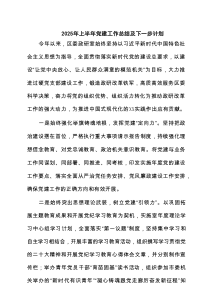 2025年上半年党建工作总结及下一步计划五篇（精编版）