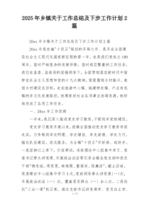 2025年乡镇关于工作总结及下步工作计划2篇