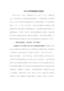 2025年市局党建工作要点