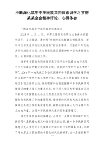 不断深化筑牢中华民族共同体意识学习贯彻某某全会精神评论、心得体会