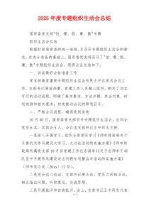 2025年度专题组织生活会总结