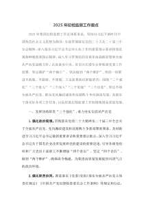 2025年纪检监察工作要点